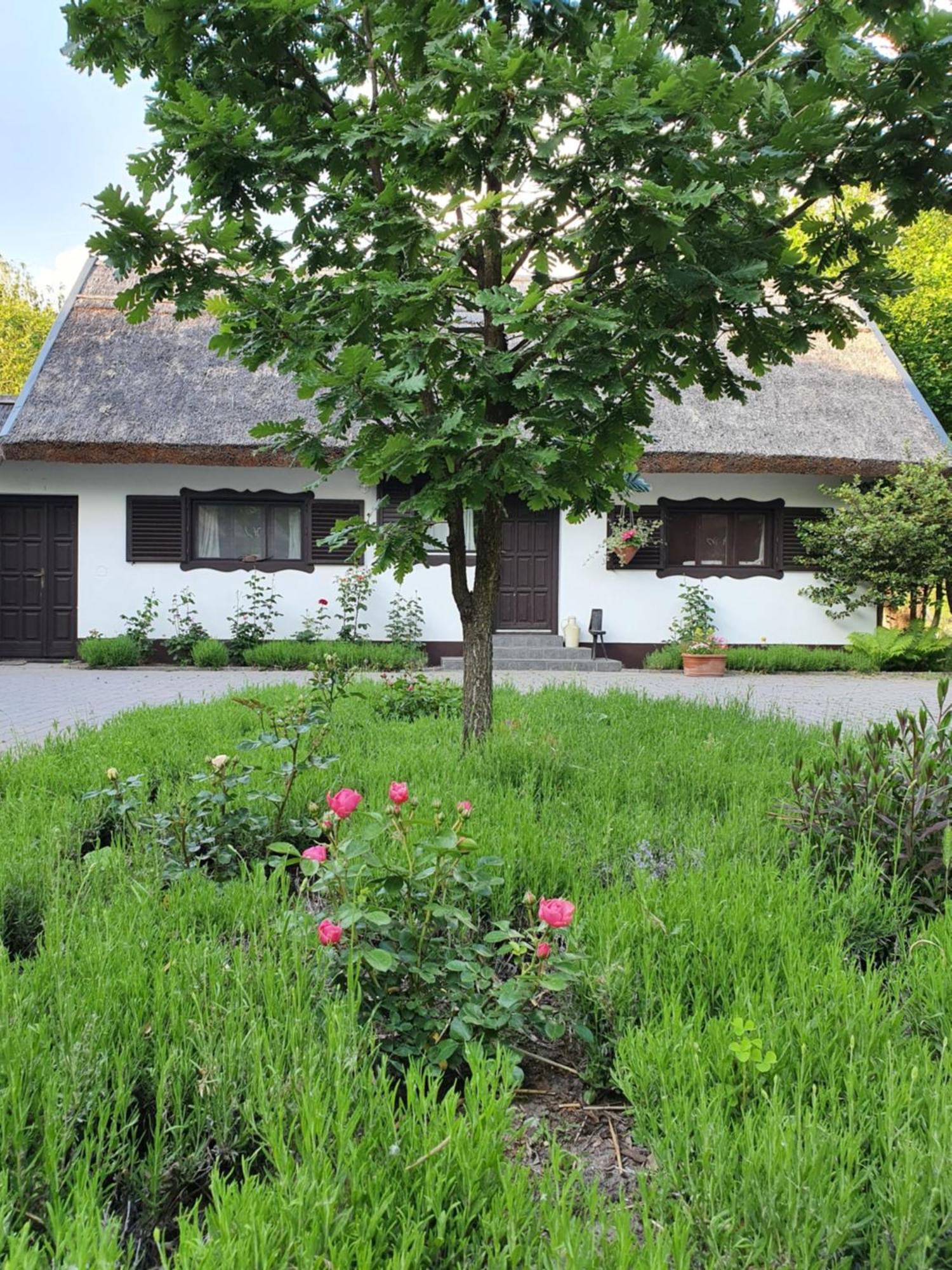 Prázdninový dům Reethouse Nature - Pool Sauna Swimming Pond Kiskunmajsa