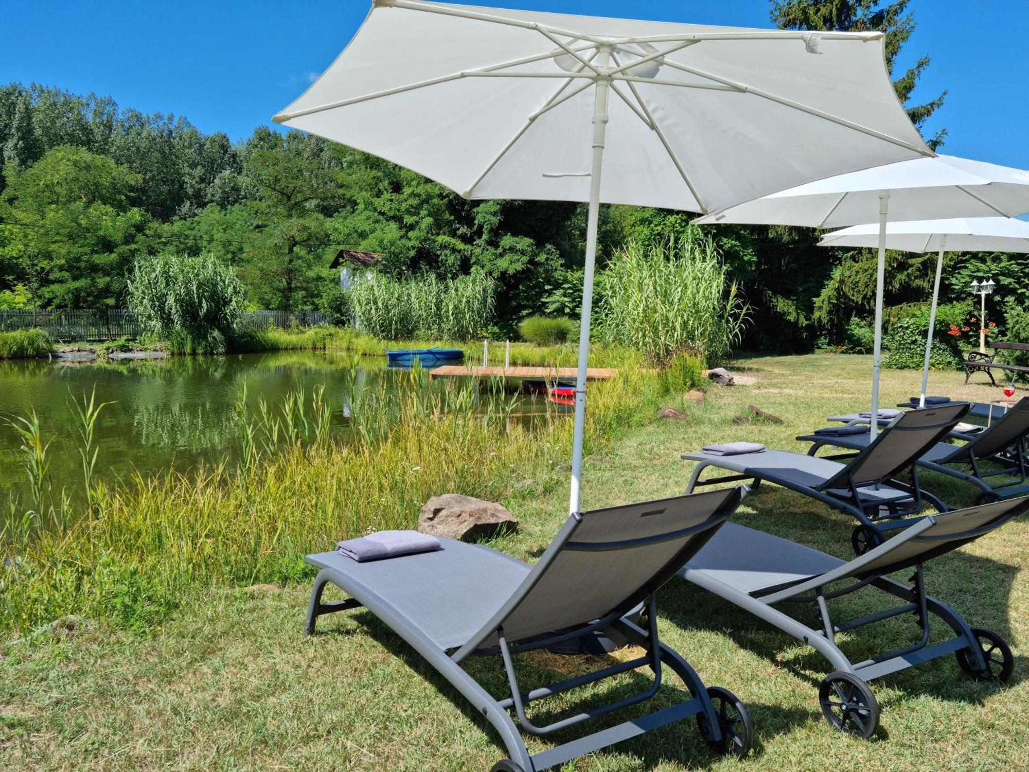 Reethouse Nature - Pool Sauna Swimming Pond Prázdninový dům Kiskunmajsa