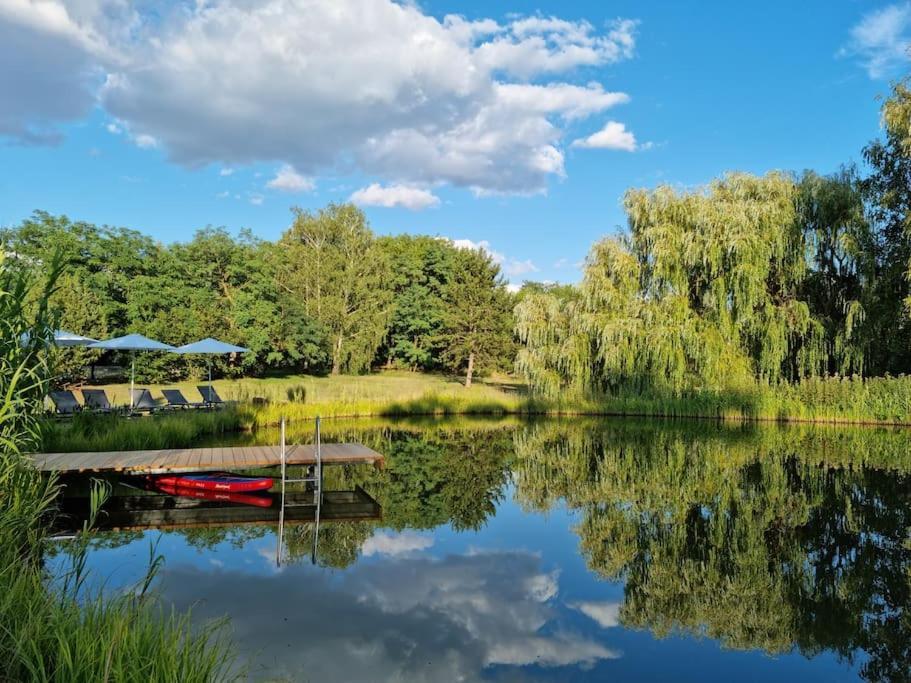 Prázdninový dům Reethouse Nature - Pool Sauna Swimming Pond Kiskunmajsa