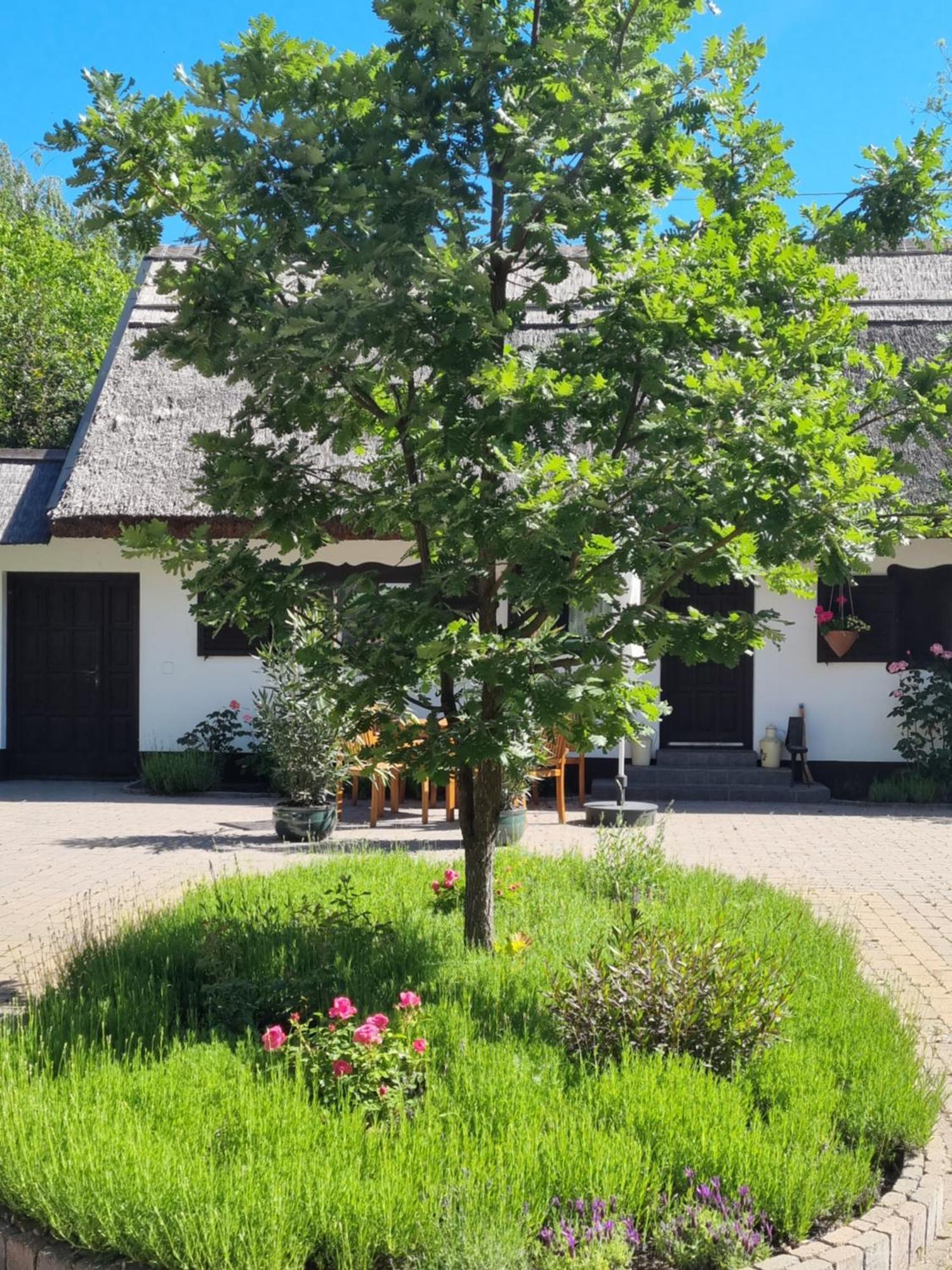 Reethouse Nature - Pool Sauna Swimming Pond * Kiskunmajsa